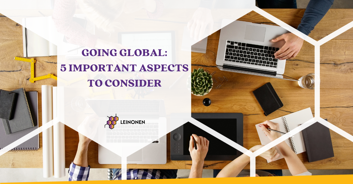 Going Global: 5 Aspects to consider - Leinonen