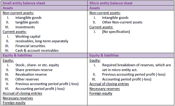 Balance sheet: small and micro entry
