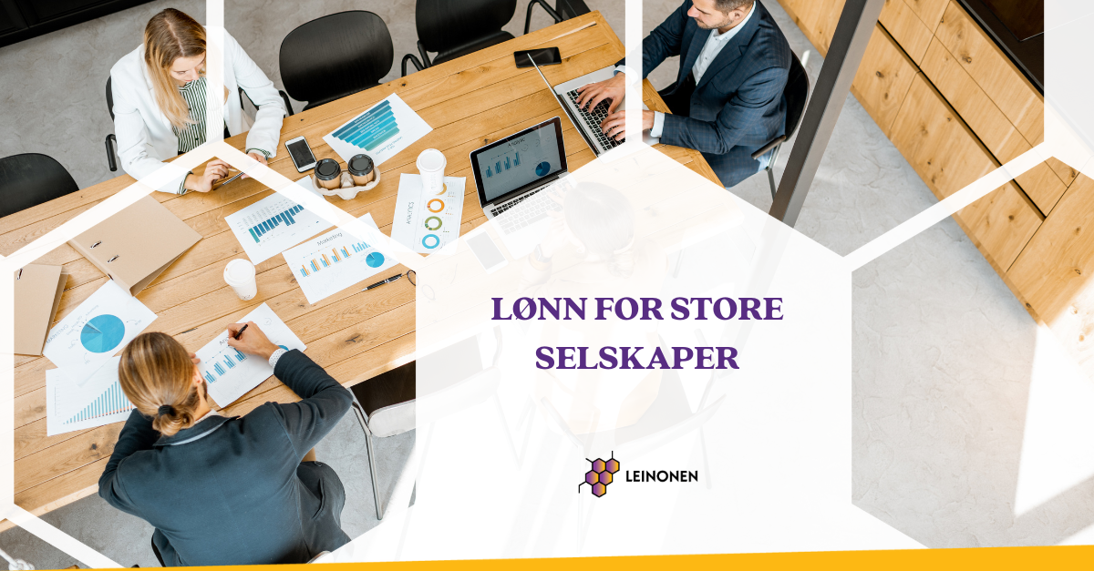 Lønn for store selskaper - Leinonen