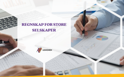 Regnskap for store selskaper - Leinonen
