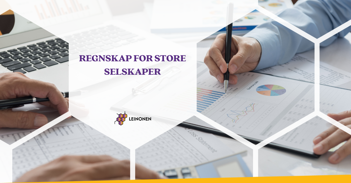 Regnskap for store selskaper - Leinonen