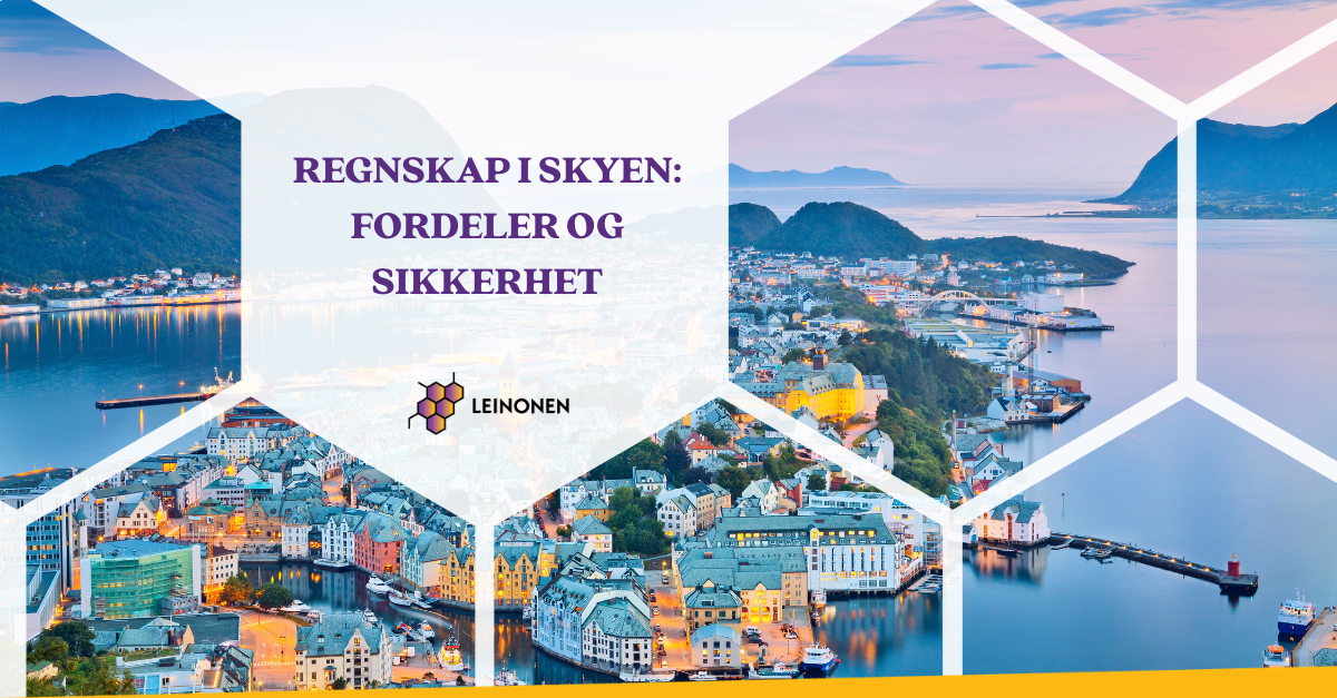 Regnskap i skyen: fordeler og sikkerhet - Leinonen