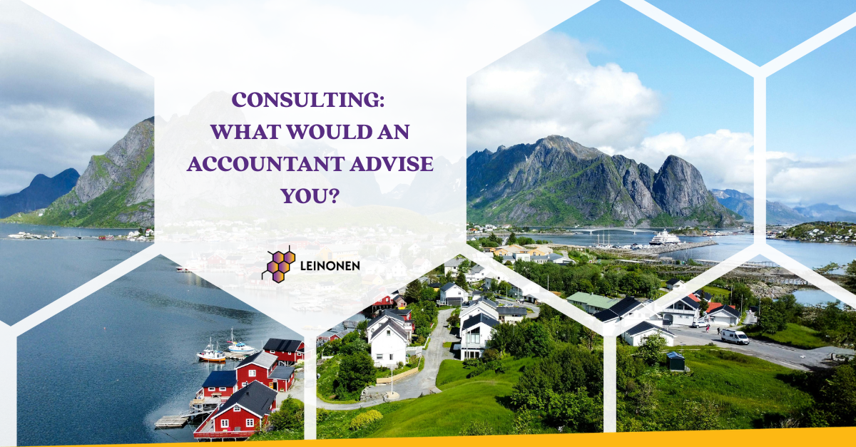 Consulting: What would an accountant advise you? - Leinonen Norway