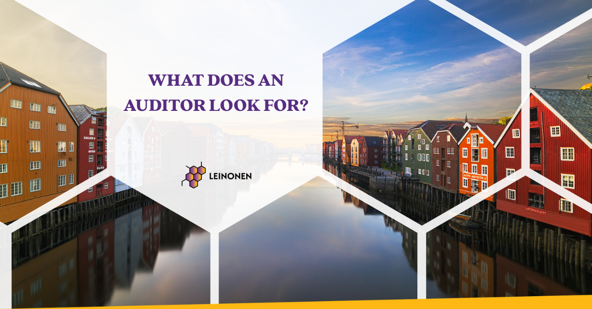 What does an auditor look for? - Leinonen Norway