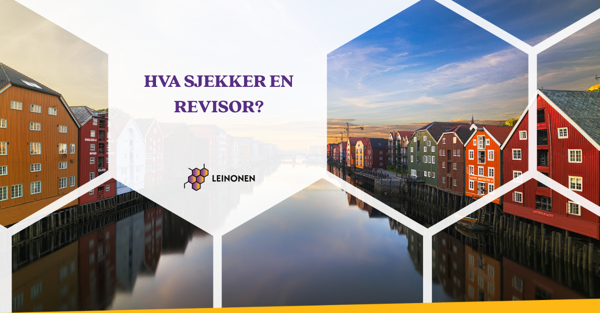 Hva sjekker en revisor? - Leinonen Norway