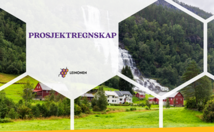 Prosjektregnskap - Leinonen Norway