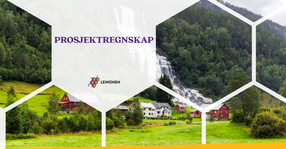 Prosjektregnskap - Leinonen Norway